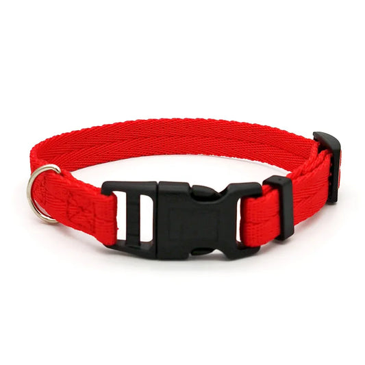 Little dog collar