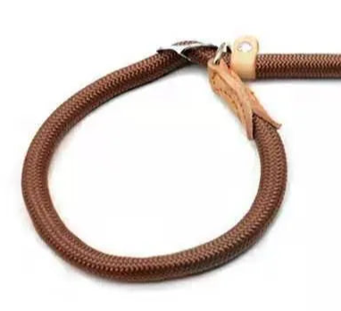 Rope dog collar and leash