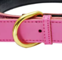 Padded puppy collar