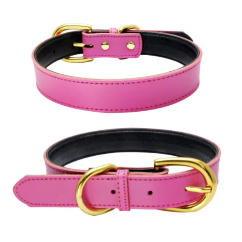 Padded puppy collar