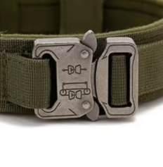 Clip on dog collar