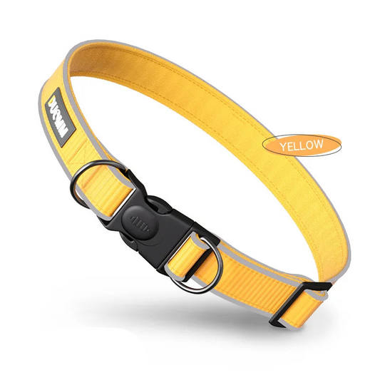 Dog reflective collar