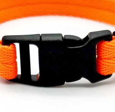 Small Orange dog collar