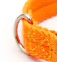 Small Orange dog collar