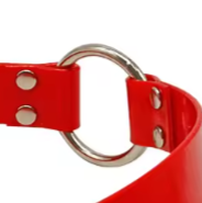 Red biothane dog collar