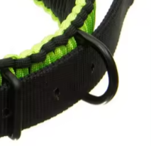 6 strand paracord dog collar