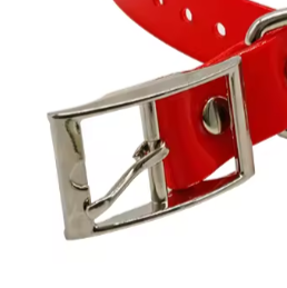 Red biothane dog collar