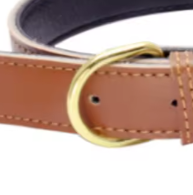 Brown puppy collar