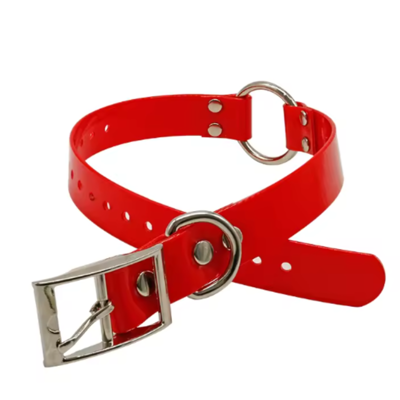 Red biothane dog collar