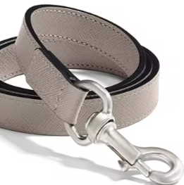 Girl dog collar and lead set