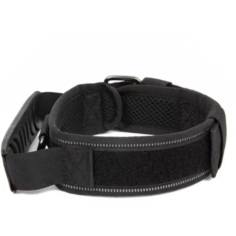 Thick nylon dog collar