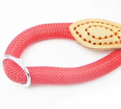 Pink rope dog leash