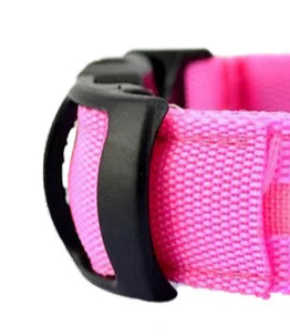 Glow in the dark pet collar