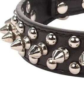 Black spiked leather dog collar