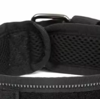 Thick nylon dog collar