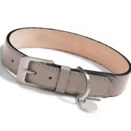 Girl dog collar and lead set