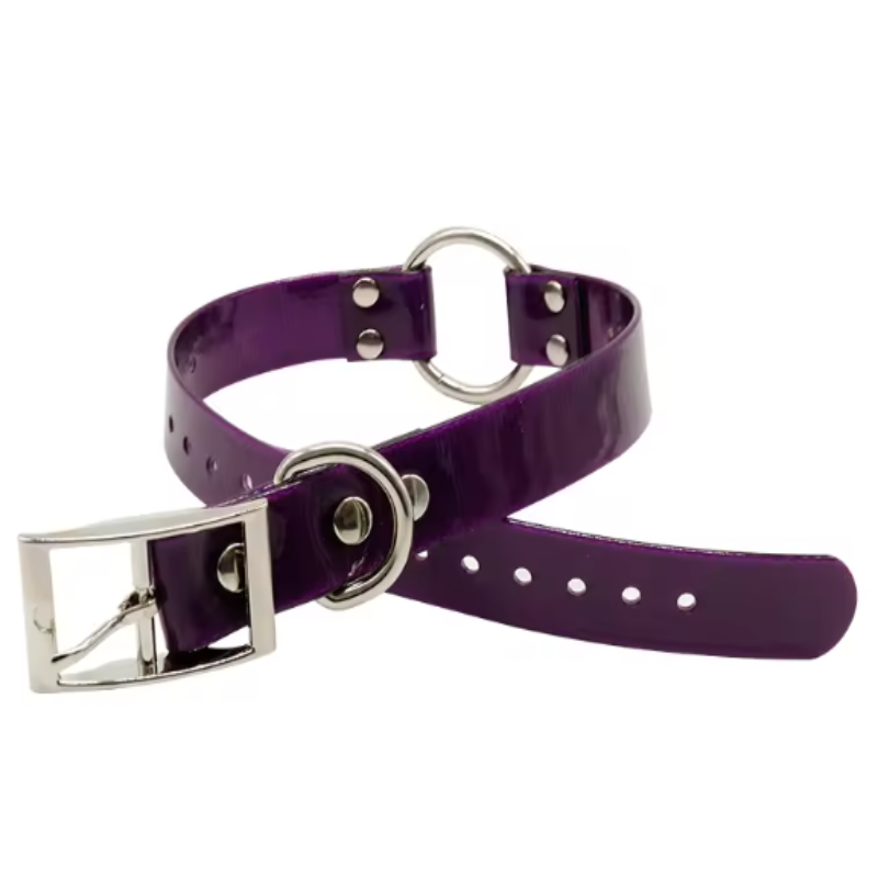 Purple biothane dog collar