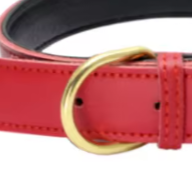 Red puppy collar