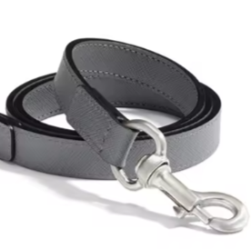 Leather dog collar and lead