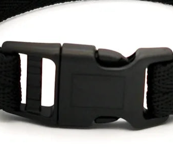 Pup collar