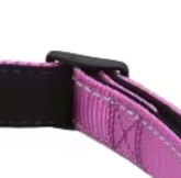 Purple martingale dog collar