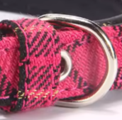 Pink tartan dog collar