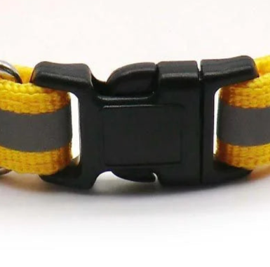 Safety dog glow collar