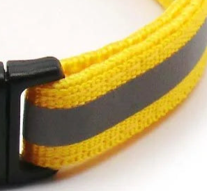 Safety dog glow collar