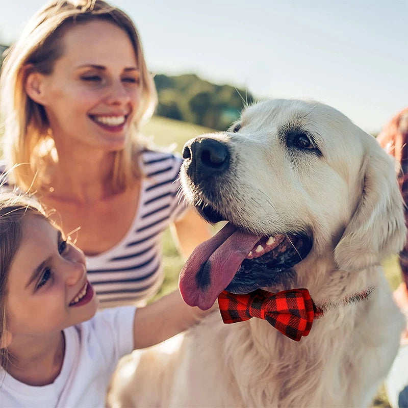 Tartan dog bow tie collar