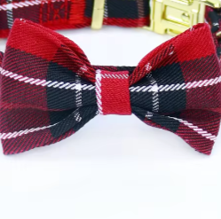 Red tartan dog collar