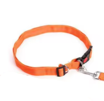 Peach dog collar and lead