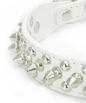 Spiked leather dog collar