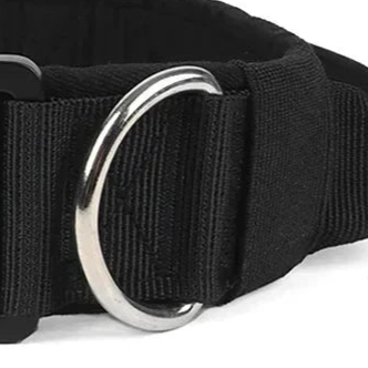 Black nylon dog collar