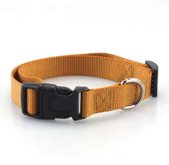 Quick release safety dog collar