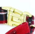 Red tartan dog collar