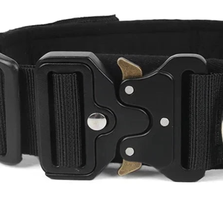 Black nylon dog collar