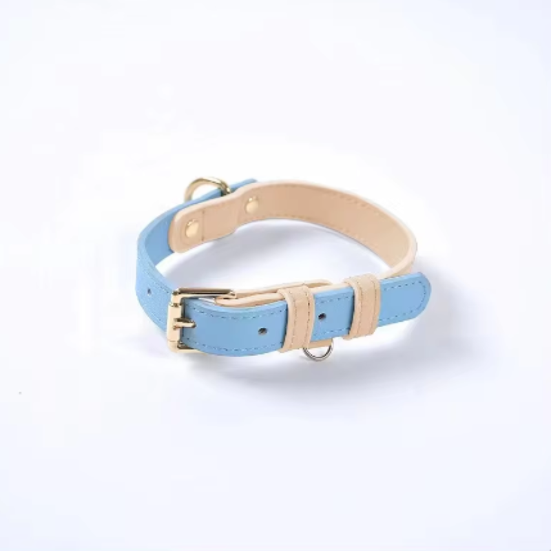 Baby blue puppy collar