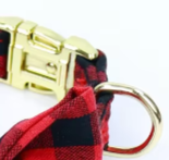 Tartan dog collar with buckle