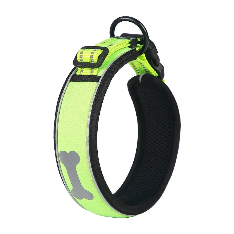 Fluorescent dog collar