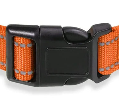 Orange reflective dog collar