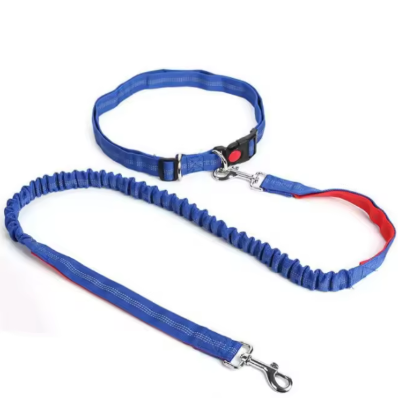 Blue dog collar and lead