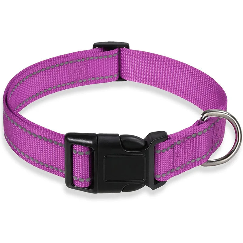 Purple reflective dog collar