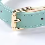 Blue leather puppy collar