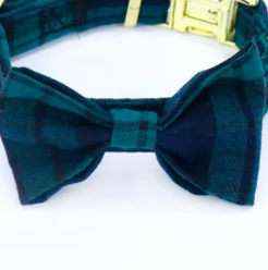 Tartan dog bow tie collar