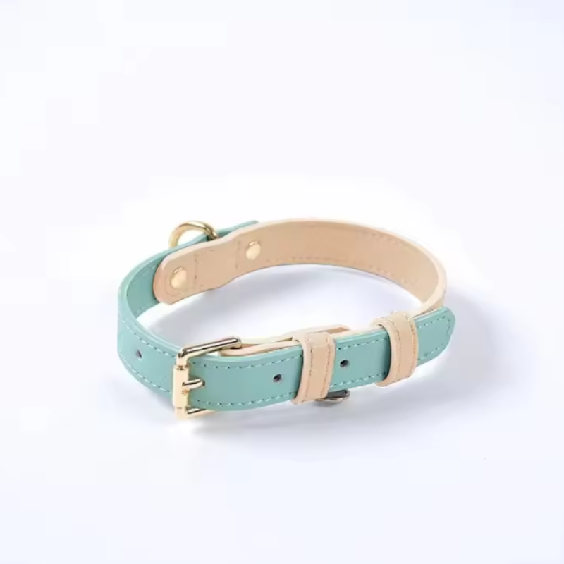 Blue leather puppy collar