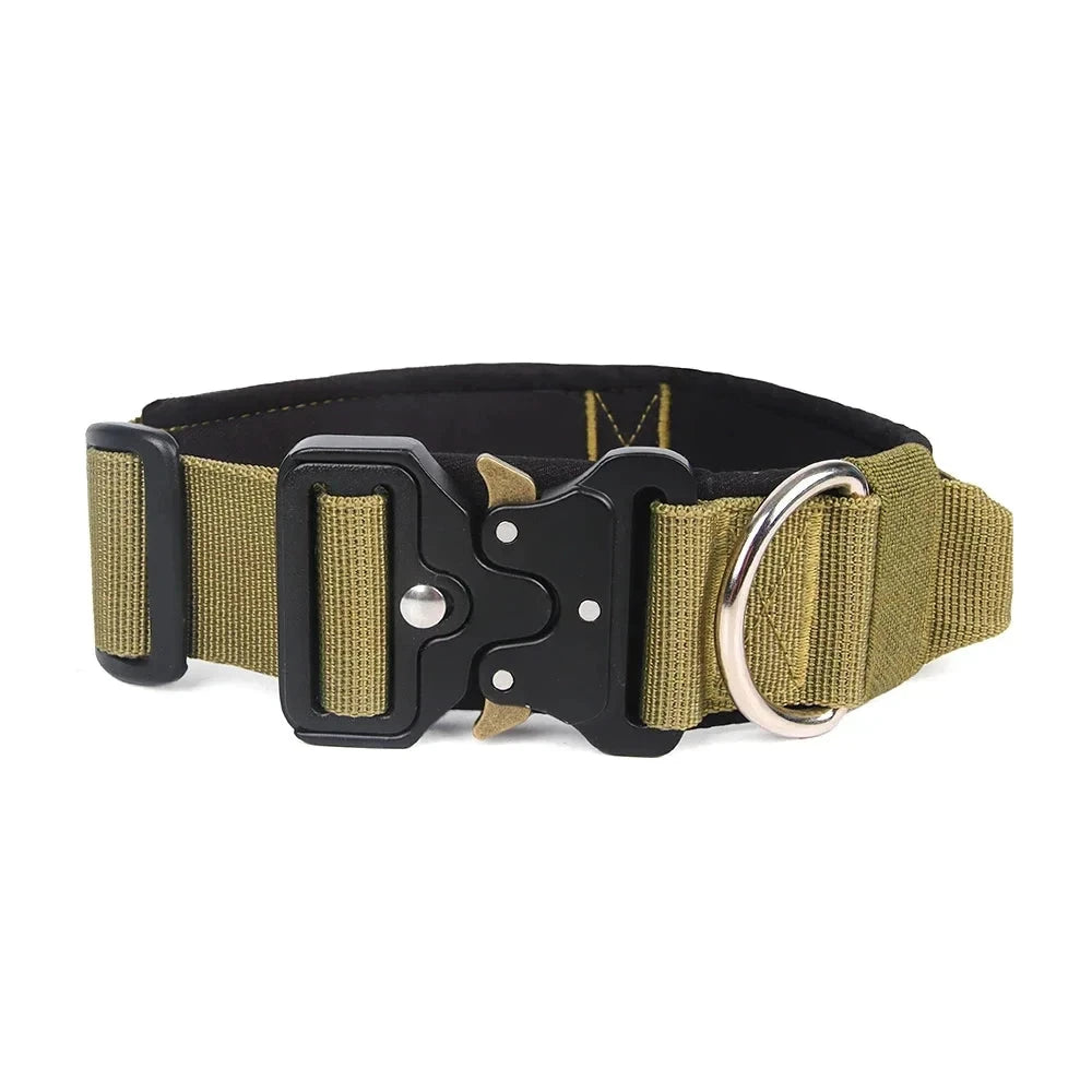 Sportdog quick release collar