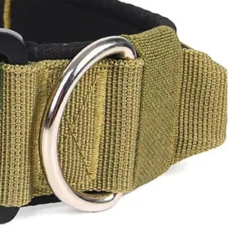 Sportdog quick release collar