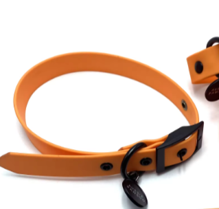 Orange dog lead and collar