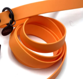 Orange dog lead and collar