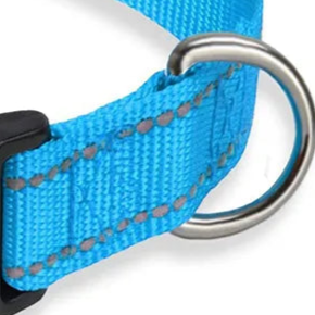 Blue reflective dog collar